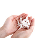 Removedor de Cera de Ouvido Espiral Ceraline